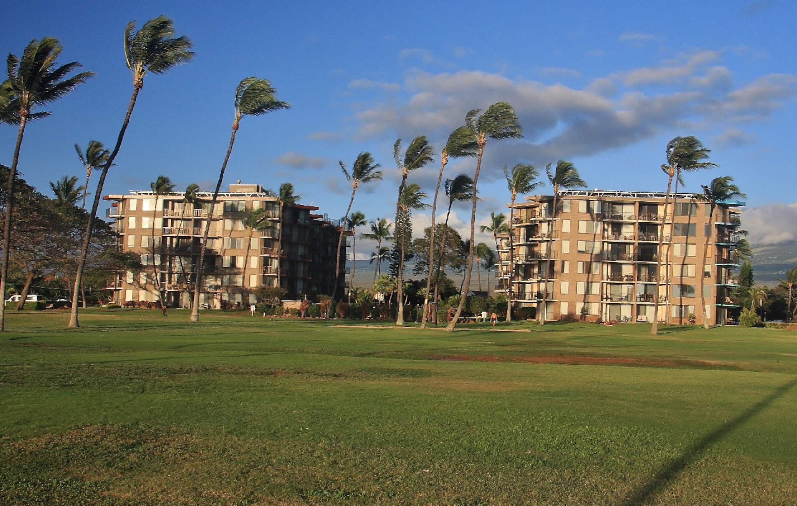 Condo in Kihei · ★4.86 · 1 bedroom · 1 bed · 1 bath - Image 27