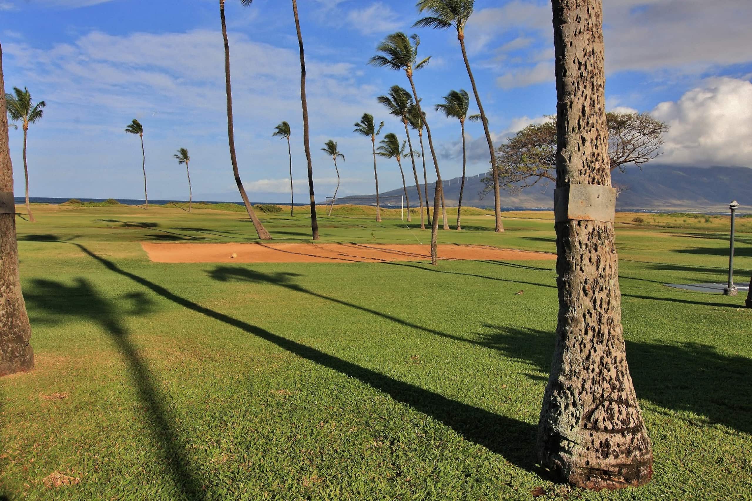 Condo in Kihei · ★4.86 · 1 bedroom · 1 bed · 1 bath - Image 24