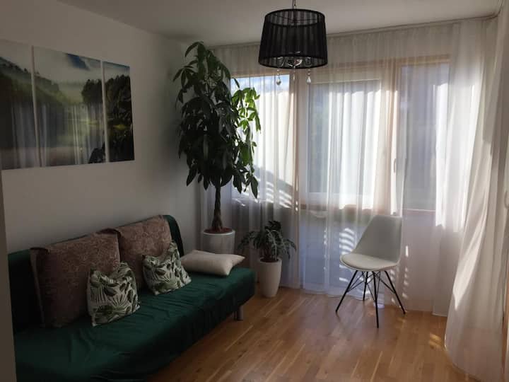Schöne Wohnung Mit Süd- Terrasse - Iffeldorf