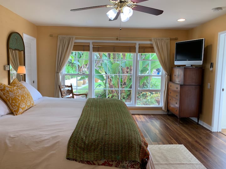 Მთავარი საძინებელი ტელევიზორისა და ბაღის ხედით