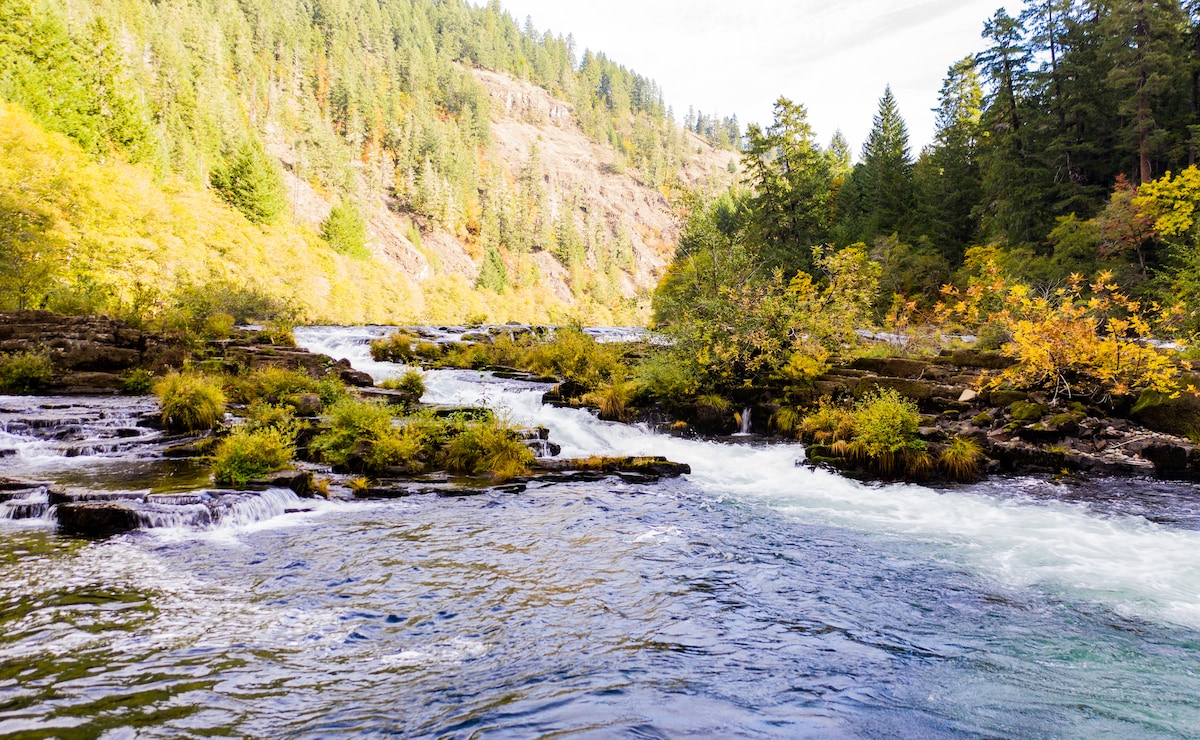The river flows gently through a rocky landscape adorned with vibrant greenery. Trees line the riverbanks, creating a natural setting. Sunlight filters through the foliage, illuminating the water and highlighting the varying textures of the rocks and plants.
