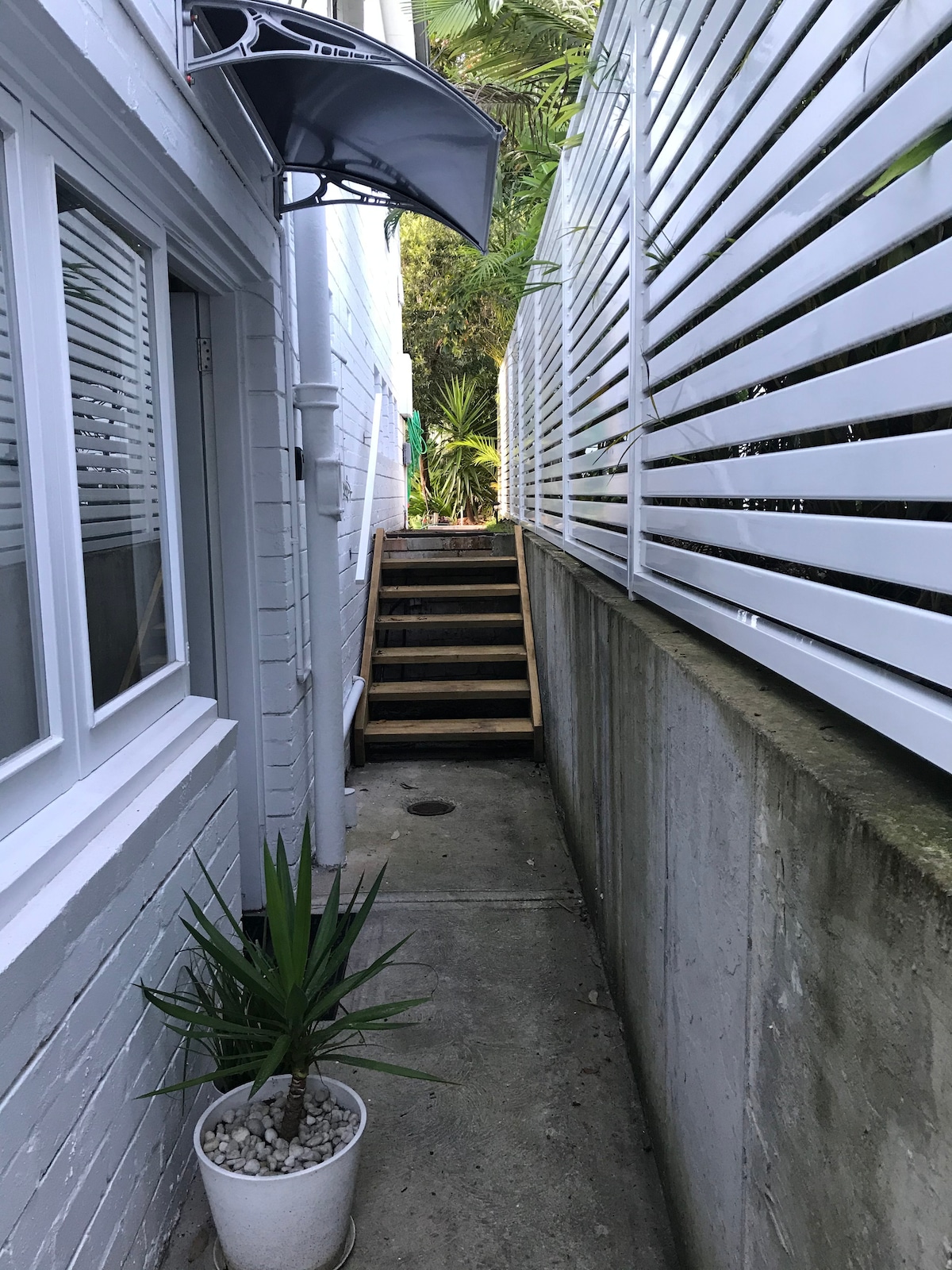 A narrow pathway leads to the entrance of the studio, flanked by white fencing and green foliage. Potted plants add a touch of nature, while wooden steps rise to the welcoming door. The clean lines of the architecture create a modern ambiance.