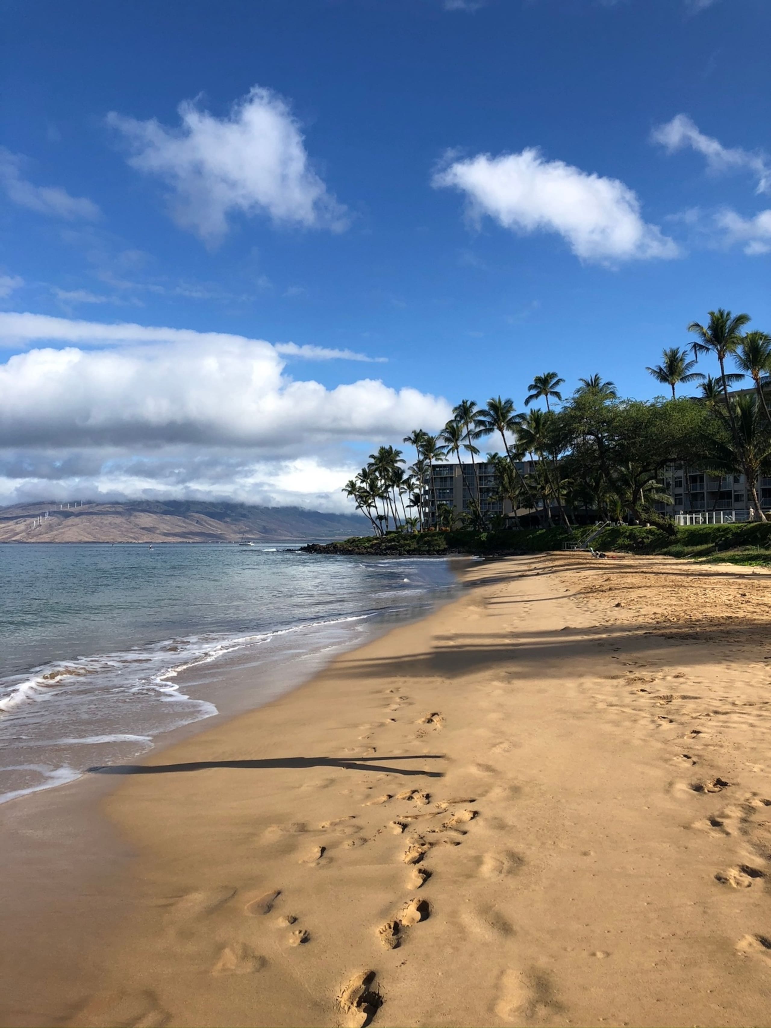 Condo in Kihei · ★4.92 · 2 bedrooms · 3 beds · 2 private baths - Image 11