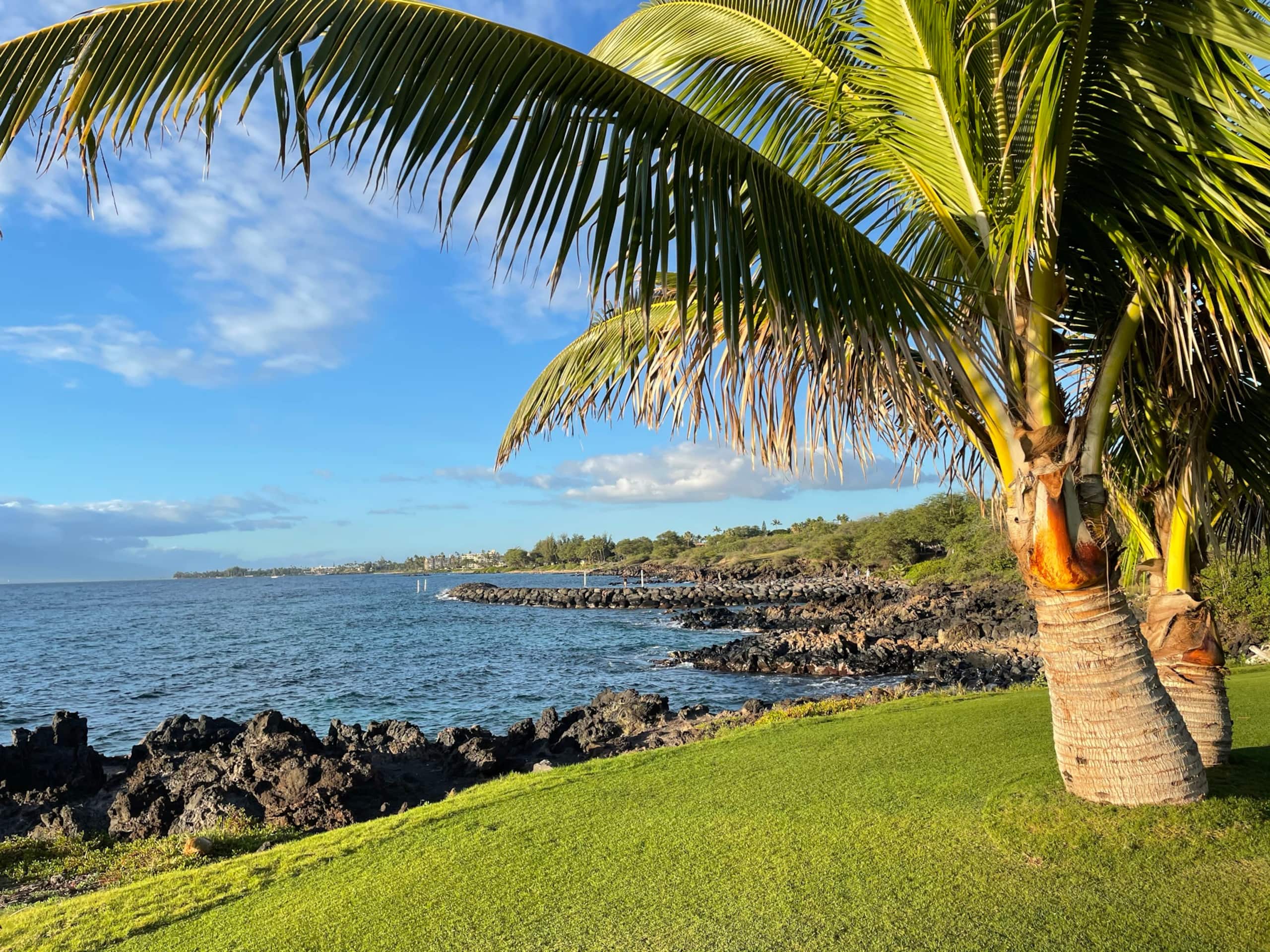 Condo in Kihei · ★4.92 · 2 bedrooms · 3 beds · 2 private baths - Image 7