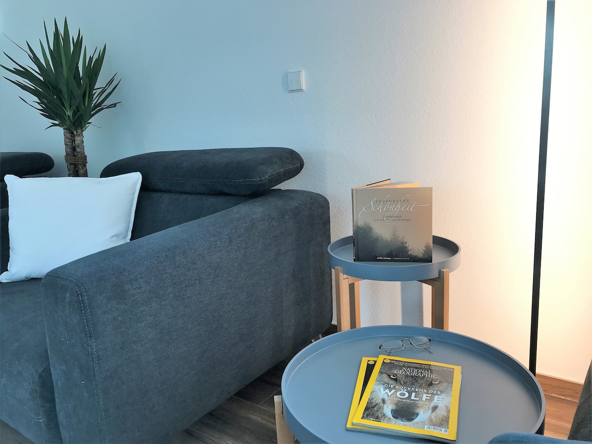 Propriété Airbnb réussie: SchwarzWald4you-Haus-Accessible-100%Climate-neutral à Baden Württemberg