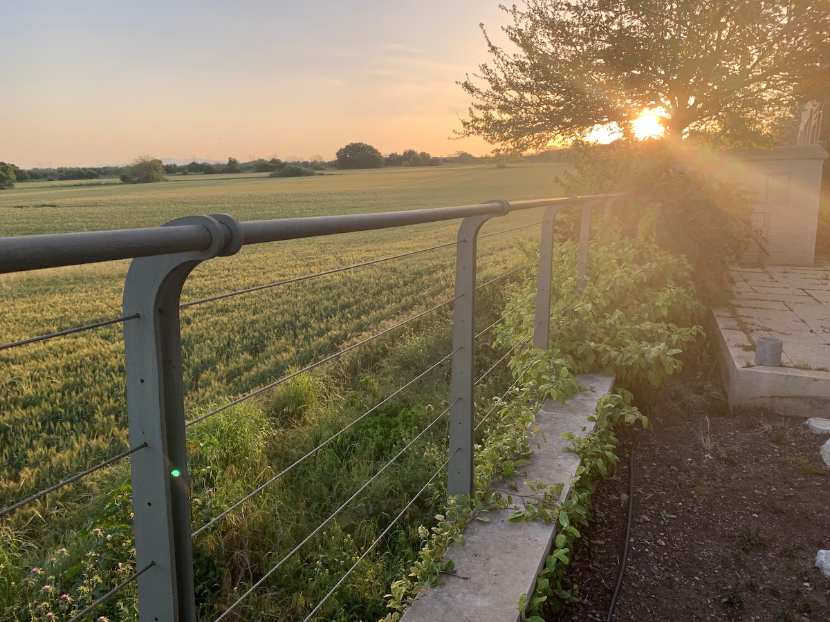 A tranquil scene is captured, featuring a metal railing alongside a field. Sunlight streams through, illuminating the landscape. Lush greenery lines the edge of the field, and a distant tree is visible against the soft hues of the evening sky.