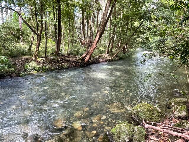 hinterhouse … on the Never Never River gallery image 5