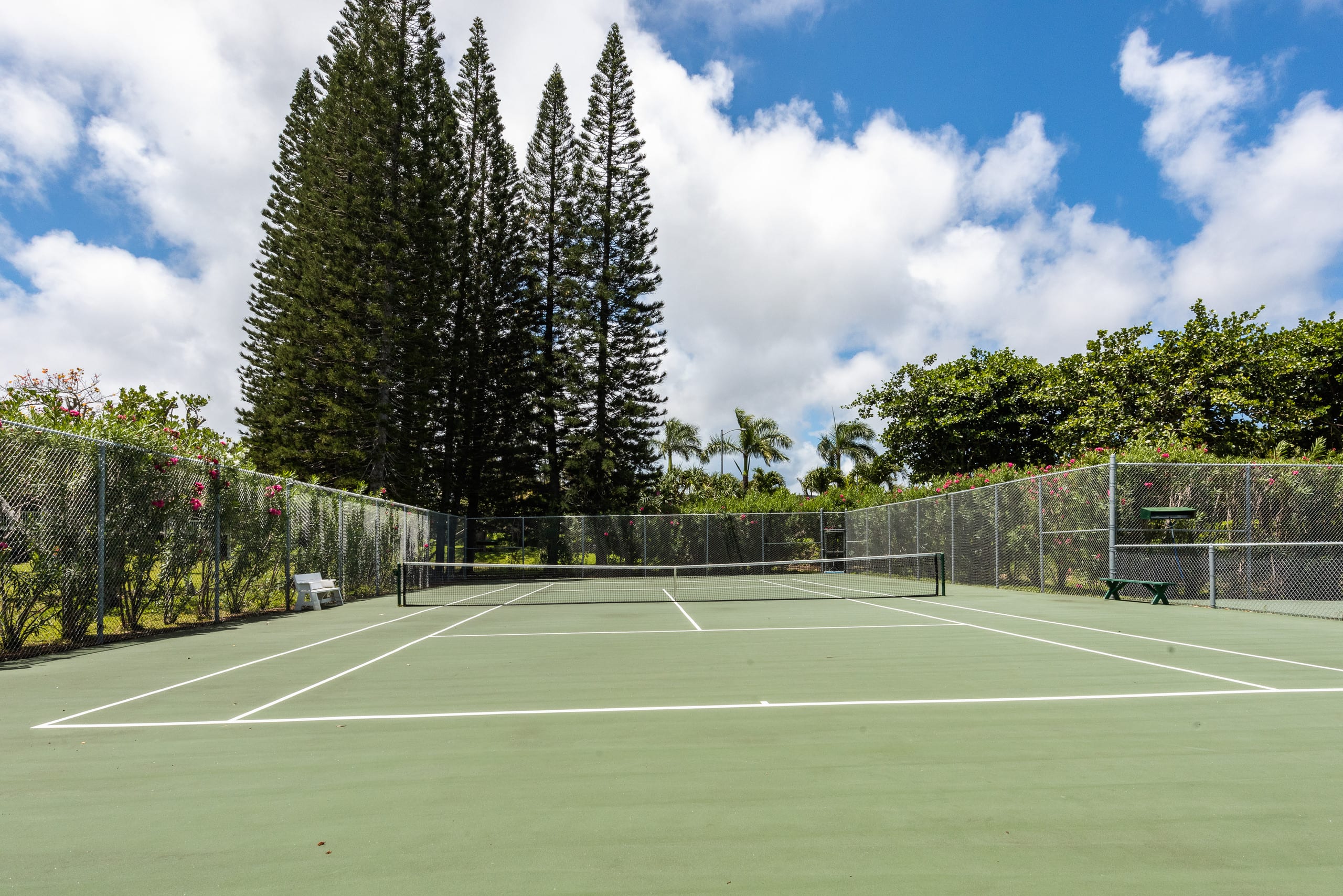 Condo in Kahuku · ★4.98 · 1 bedroom · 2 beds · 1 private bath - Image 20