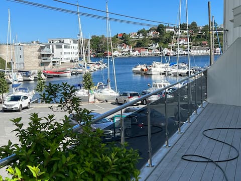 Large Downtown Apartment by cozy marina