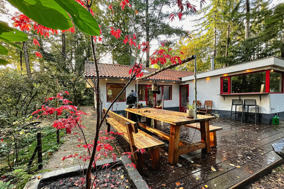 An outdoor dining area features a large wooden table surrounded by benches, set against a backdrop of lush greenery. The house showcases bright red window frames and a terracotta tiled roof, blending harmoniously with its forest surroundings.