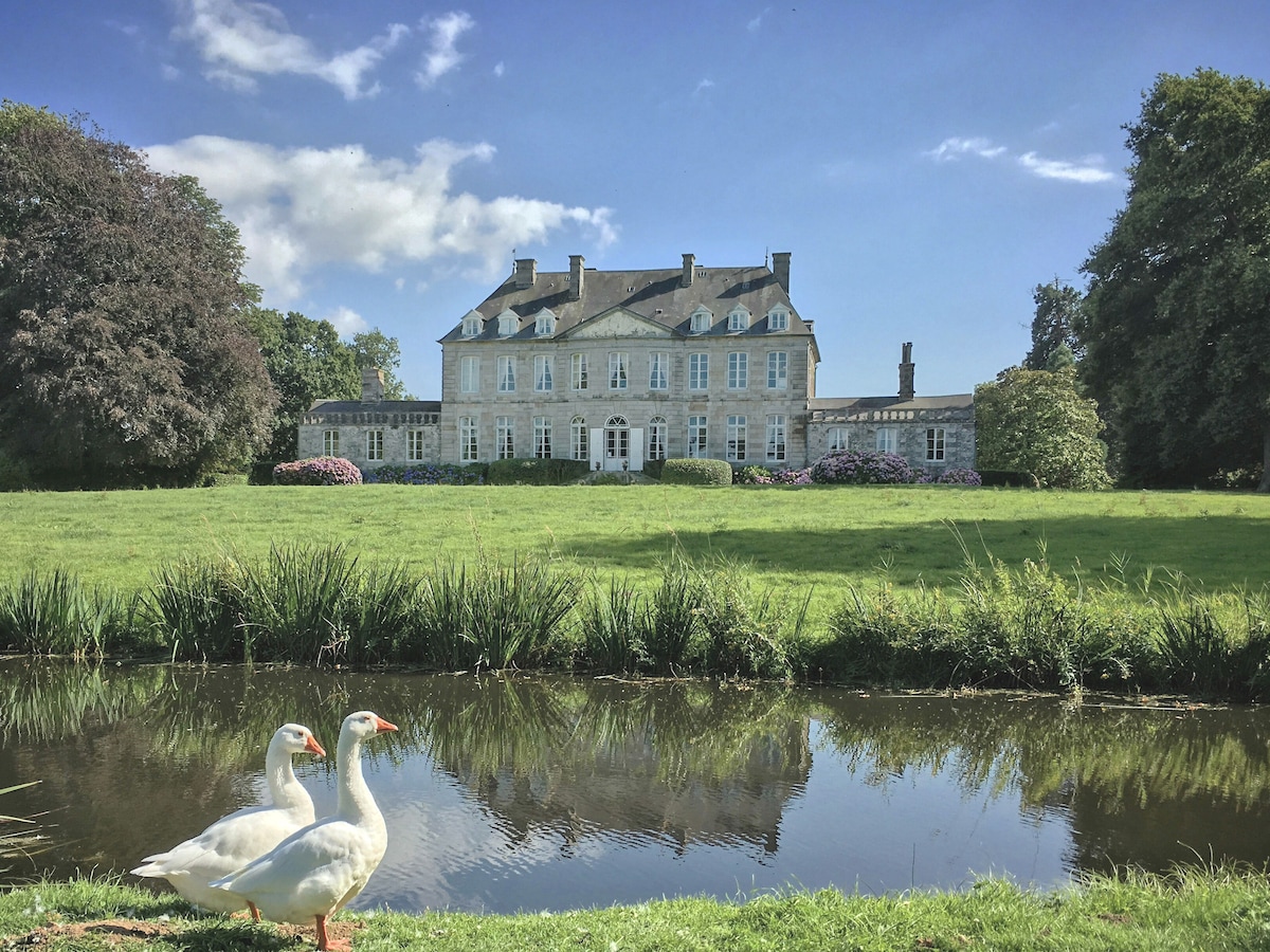 A stately castle stands majestically in the background, surrounded by lush, manicured gardens. A serene pond reflects the clear blue sky, while two white geese gracefully wander near the water's edge, enhancing the tranquil ambiance of the estate.