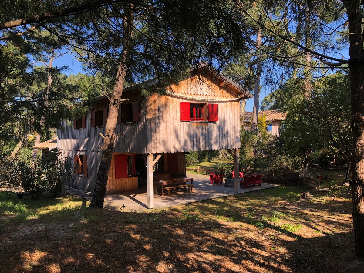 Successful Airbnb property: Wooden house 10 people Cap Ferret Plage des Américains in Lège Cap Ferret