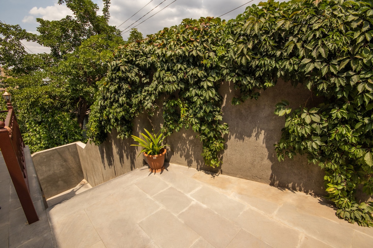 A tranquil outdoor space is presented with a smooth stone pathway bordered by lush greenery. A potted plant adds a touch of life to the area, where stone steps lead downwards, surrounded by leafy vines climbing the wall.