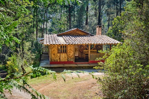 Beautiful cabin for lovers in the middle of the forest