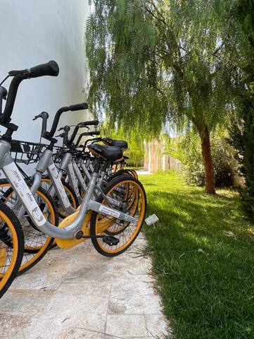 Dimora storica del ‘700 con piscina. gallery image 5