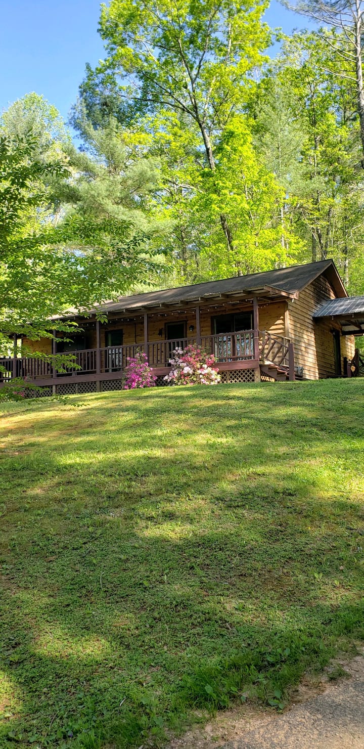 Rustic Mountain Hideaway Houses for Rent in Clayton, United States Airbnb