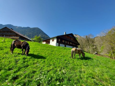 Chalet Familial Spacious and Warm