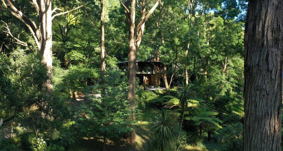Escape to Sassafras Forest Retreat + Fireplace gallery image 2
