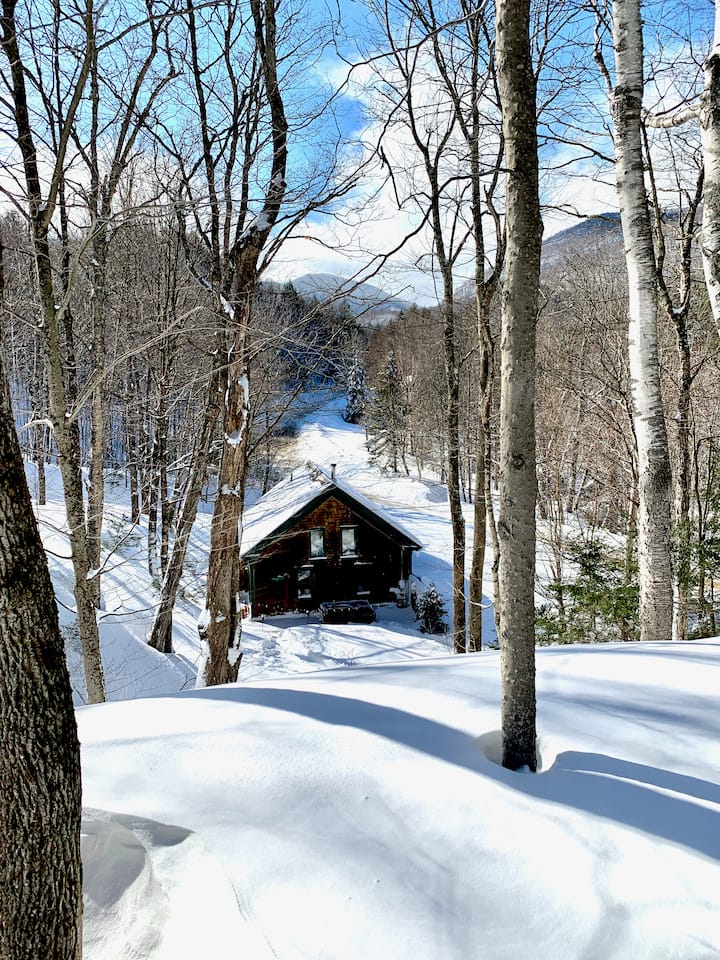 Charming Stowe Ski Cabin; Hot Tub, Wood Stove Cabins for Rent in
