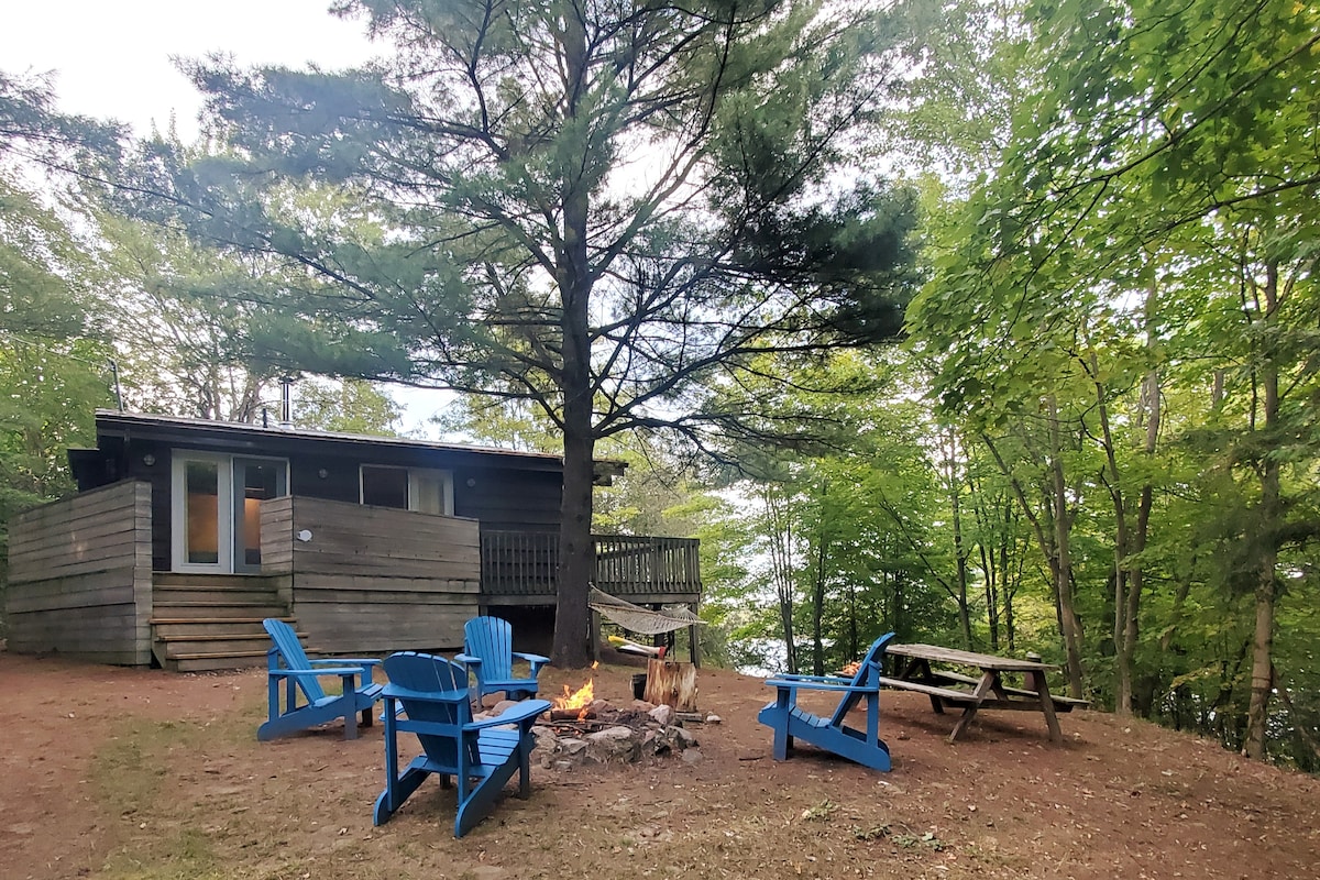 A cozy outdoor gathering space is surrounded by tall trees, featuring a firepit with seating in blue Adirondack chairs. A picnic table rests nearby, and the deck of the cottage is visible, blending naturally with the wooded backdrop.