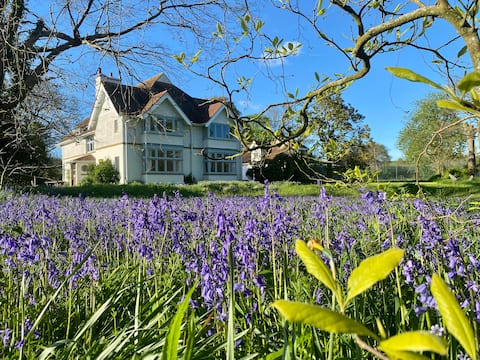 Edwardian coastal house with a contemporary twist