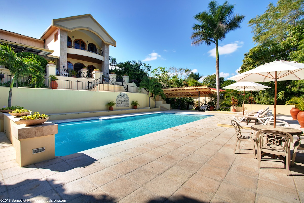 An outdoor swimming pool is surrounded by a spacious patio featuring lounge chairs and umbrellas for shade. Tropical plants and palm trees are visible in the background. The hotel is positioned above, showcasing its elegant architecture against a clear blue sky.