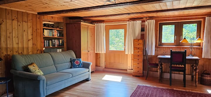 Svetlom zaplavená obývacia izba/spálňa 2 s rozkladacou pohovkou a pracovným priestorom. 