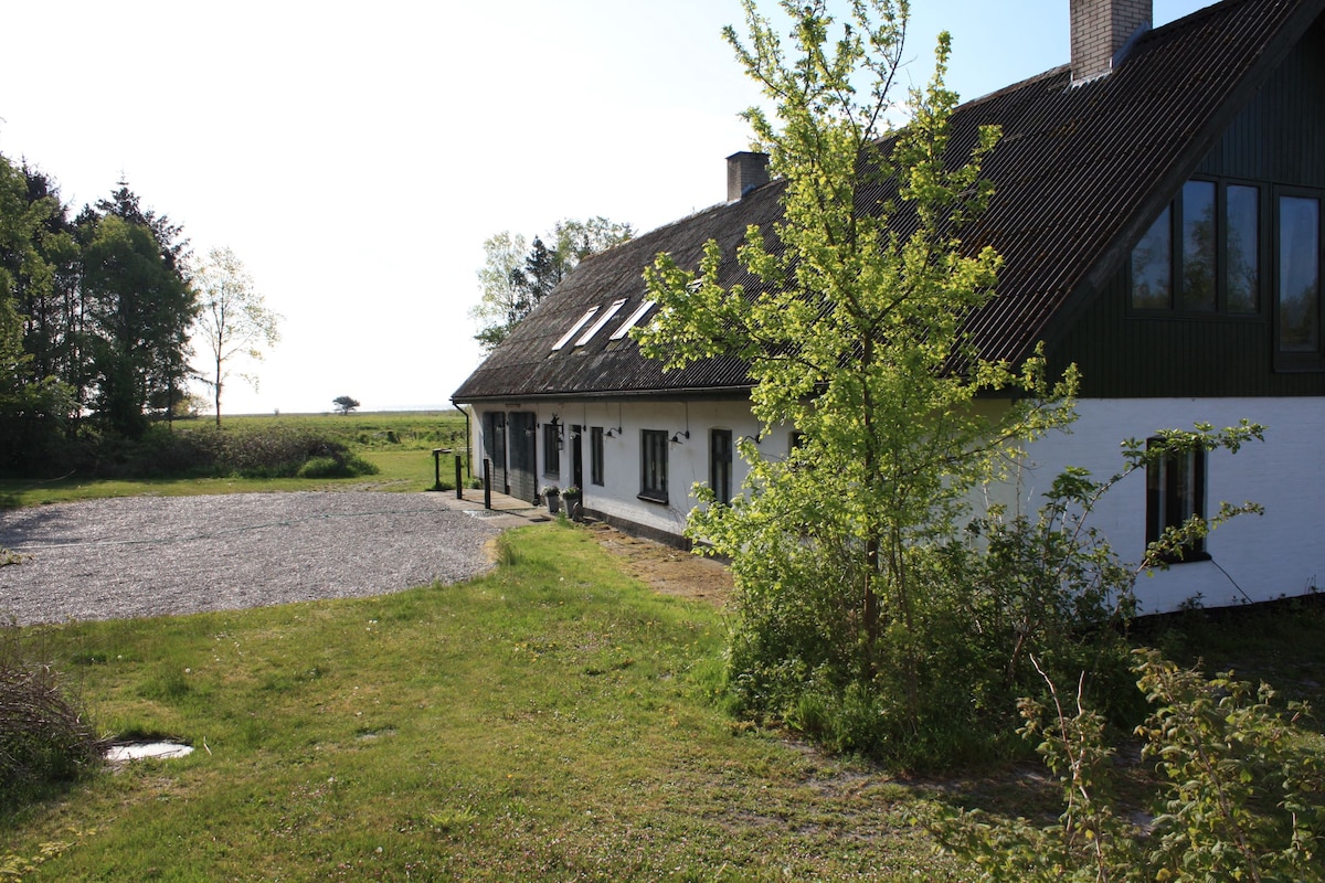 A charming older farmhouse is depicted, surrounded by natural greenery. The expansive property features an outdoor area with a gravel path, while large windows line the building, inviting natural light. The rolling landscape beyond offers a glimpse of the nearby coastline.