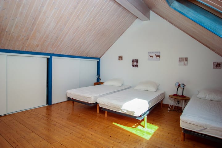 Habitación 4