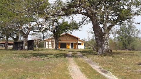 Quiet house between ocean, lake and forest