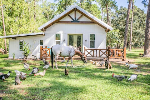 HORSE FARM Retreat, Newer Built Private Guesthouse