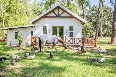 HORSE FARM Retreat, Newer Built Private Guesthouse