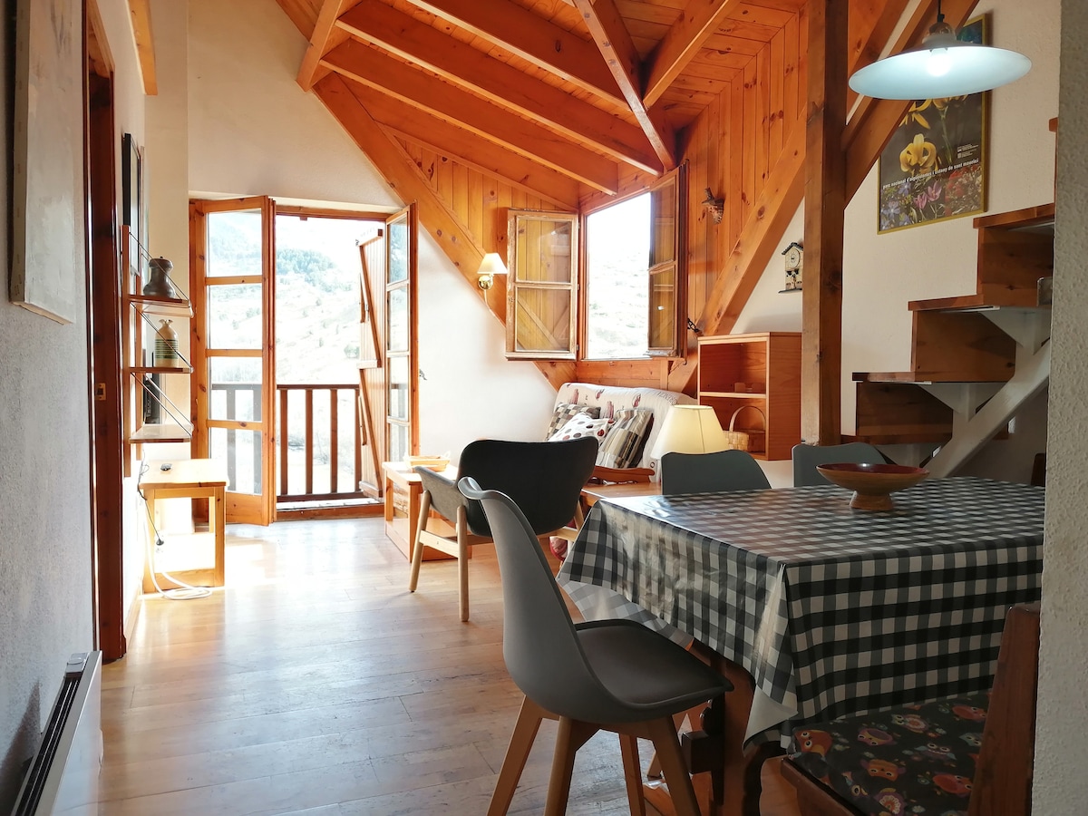 Successful Airbnb property: Spacious and rustic duplex. Light and views -Justal 1 in La Vall De Boí