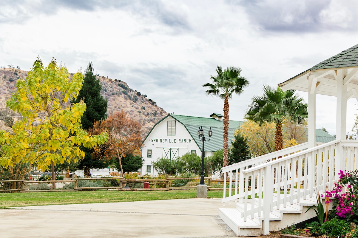 The entrance area of SpringVille Ranch is presented, featuring a gazebo surrounded by colorful flowers. Palm trees and autumn foliage add to the landscape, while the large timber-framed barn is visible in the background, set against rolling hills under an overcast sky.