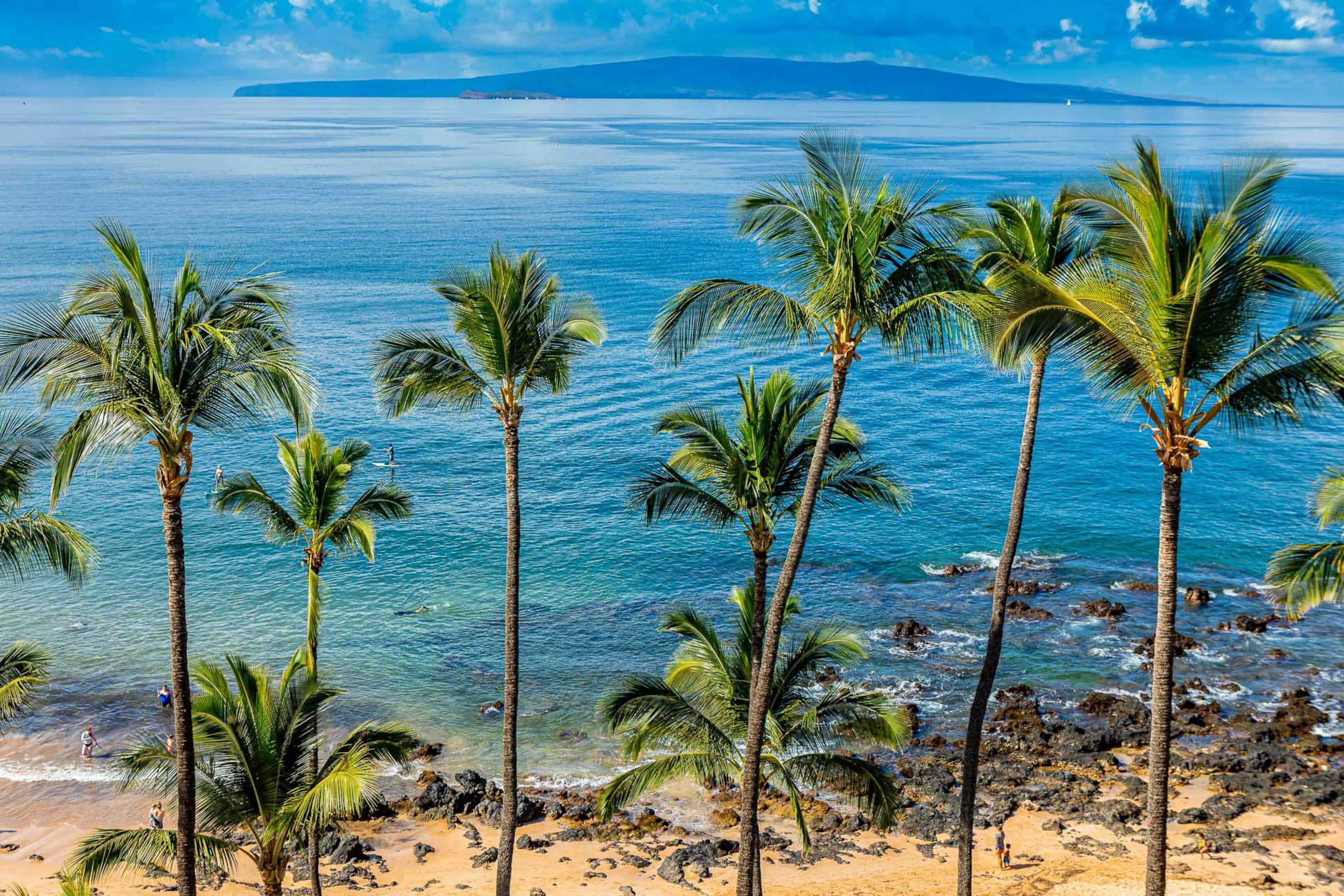 Condo in Kihei · ★4.96 · 2 bedrooms · 2 beds · 2 baths - Image 47