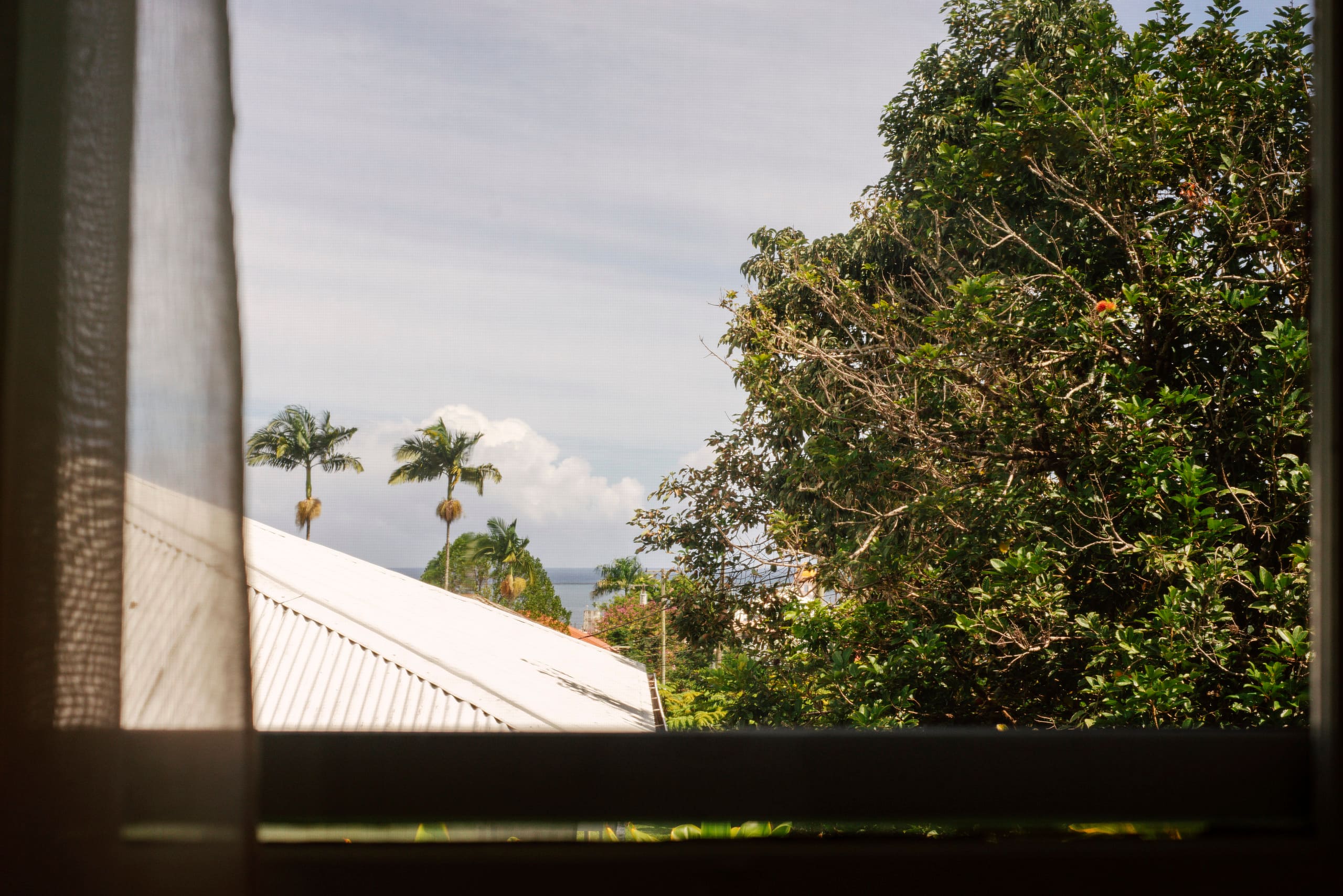 Home in Hilo · ★4.95 · 3 bedrooms · 3 beds · 1 private bath - Image 13