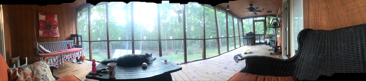 A spacious screened porch offers a serene view of the surrounding greenery. The area features a wicker chair and a shallow table, with sunlight filtering gently through the screens. Soft cushions and a cozy bench provide comfortable seating, enhancing the tranquil outdoor experience.