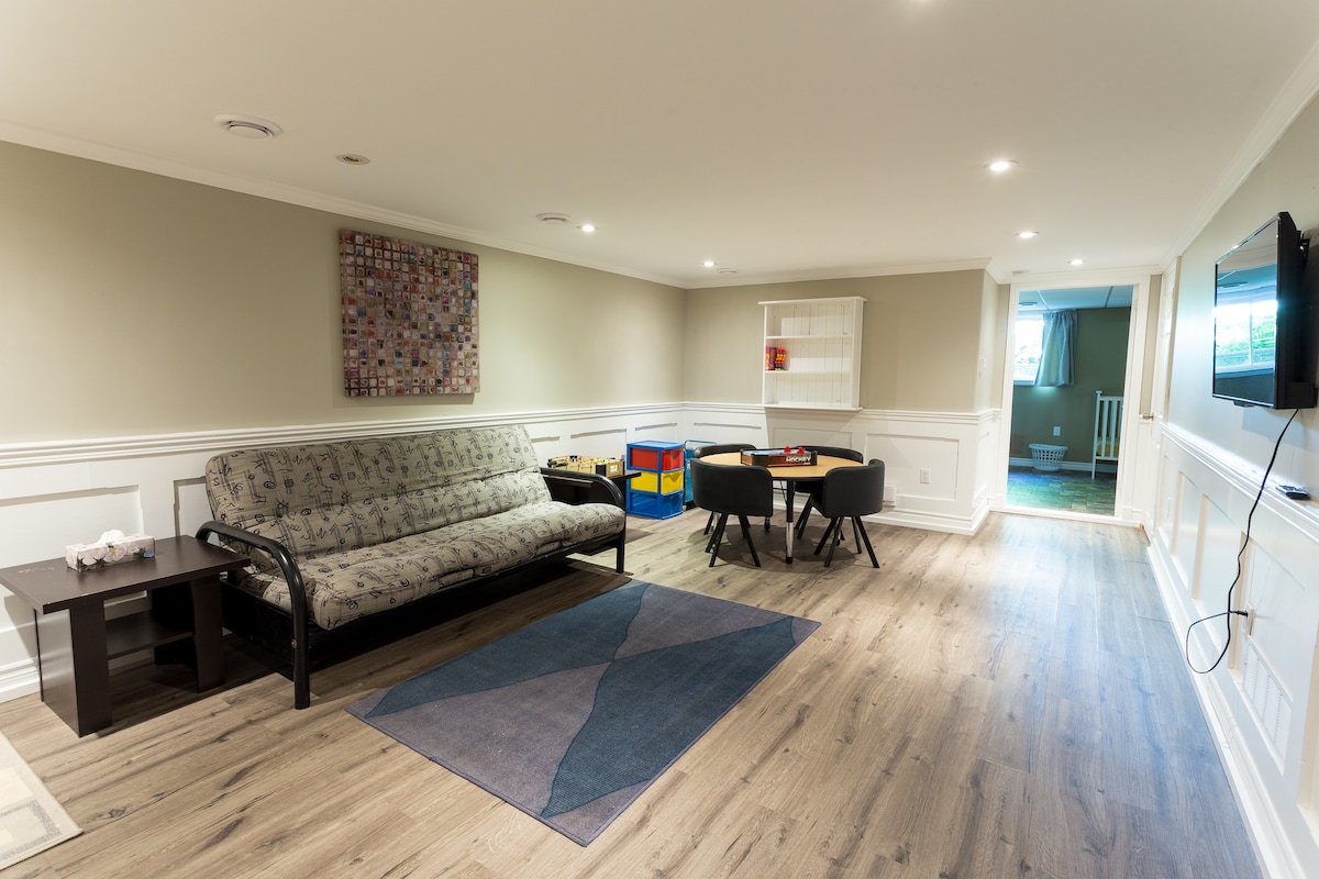 Lower level rec room with double futon