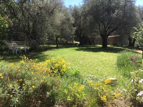 Ground floor of villa, amid olive trees.