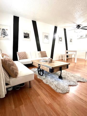 Charming Contemporary Condo !