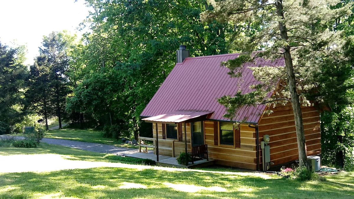 A handcrafted log cabin with a red metal roof is nestled among greenery, showcasing a front porch and a gravel path leading up to it. Trees and lush grass surround the cabin, providing a tranquil rural setting.