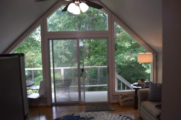 Gorgeous Creek View From Your Private Eyrie - Chesterfield, VA