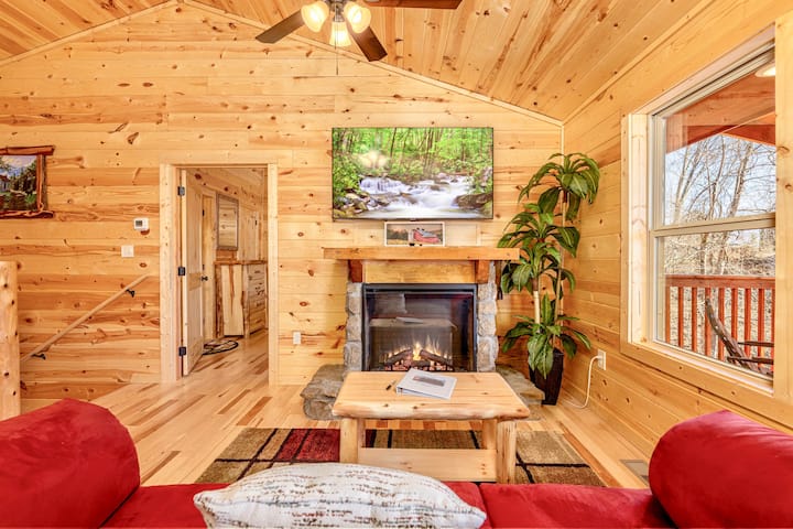 Living area with fireplace and pullout couch.