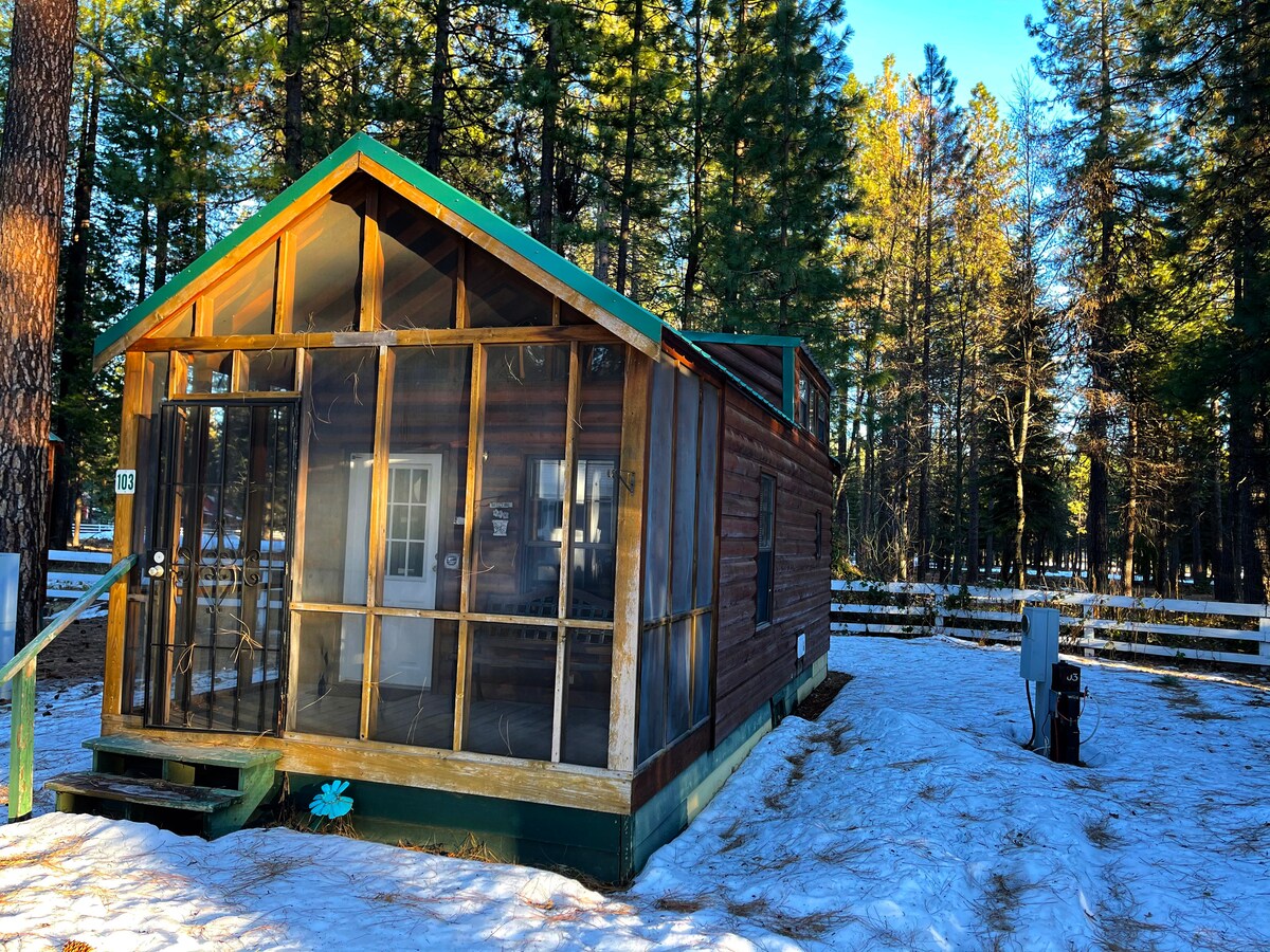 The exterior of the tiny house cabin is shown, featuring a wooden structure with a green roof. Large screened windows are visible, allowing for natural light. Surrounding towering trees frame the cabin, while a path leading to the entrance can be seen on a snow-covered ground.