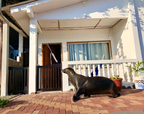 Location Location Location