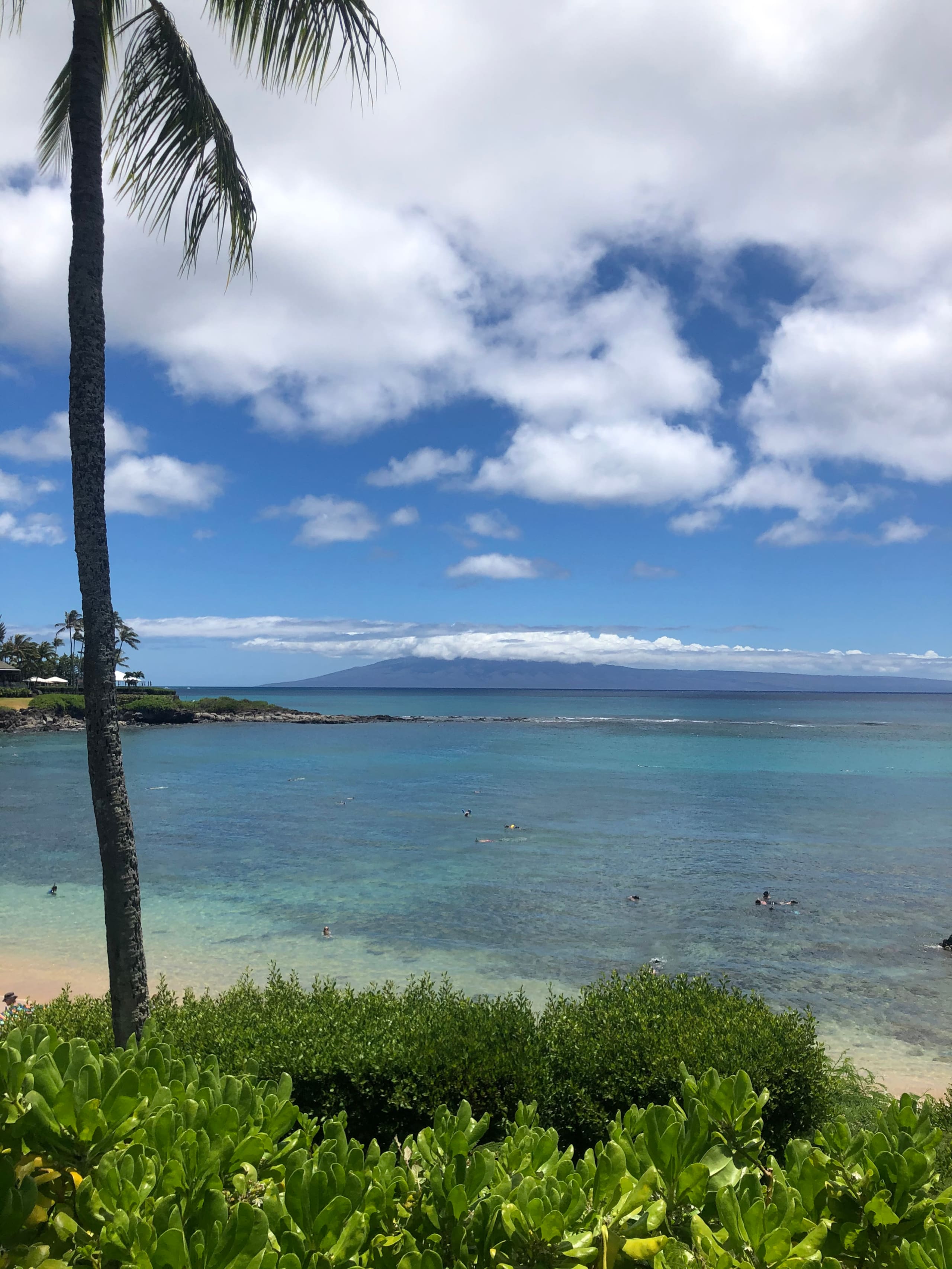 Condo in Kihei · ★4.95 · 1 bedroom · 1 bed · 1 private bath - Image 49