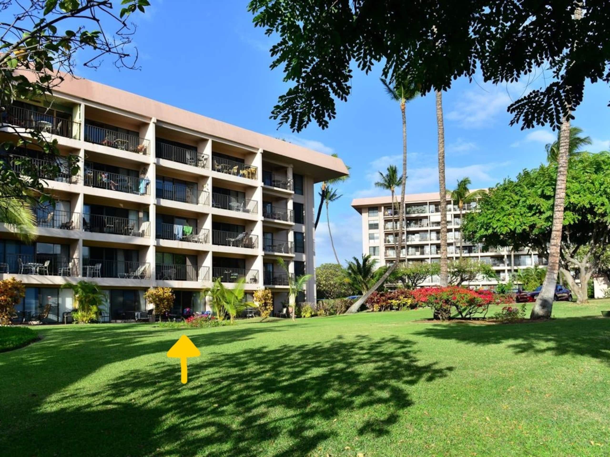 Condo in Kihei · ★4.95 · 1 bedroom · 1 bed · 1 private bath - Image 31