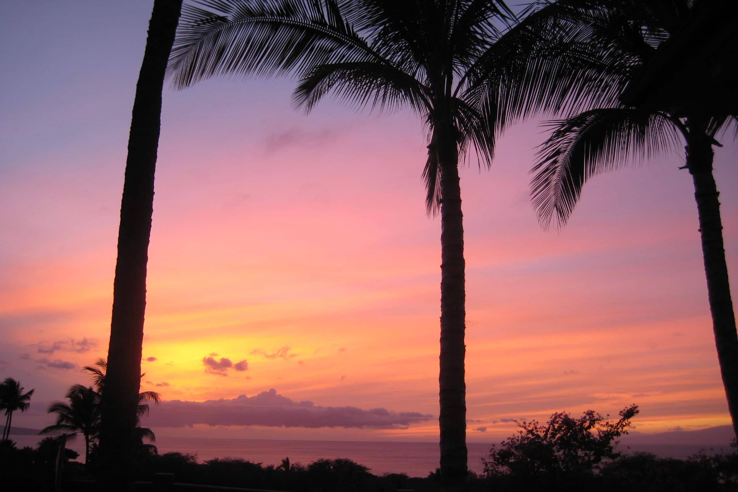 Condo in Kihei · ★4.95 · 1 bedroom · 1 bed · 1 private bath - Image 46