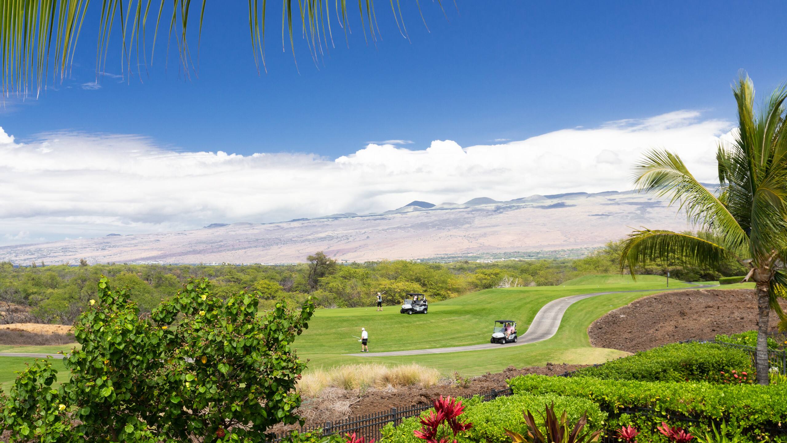 Home in Waimea · ★5.0 · 3 bedrooms · 5 beds · 3 baths - Image 61