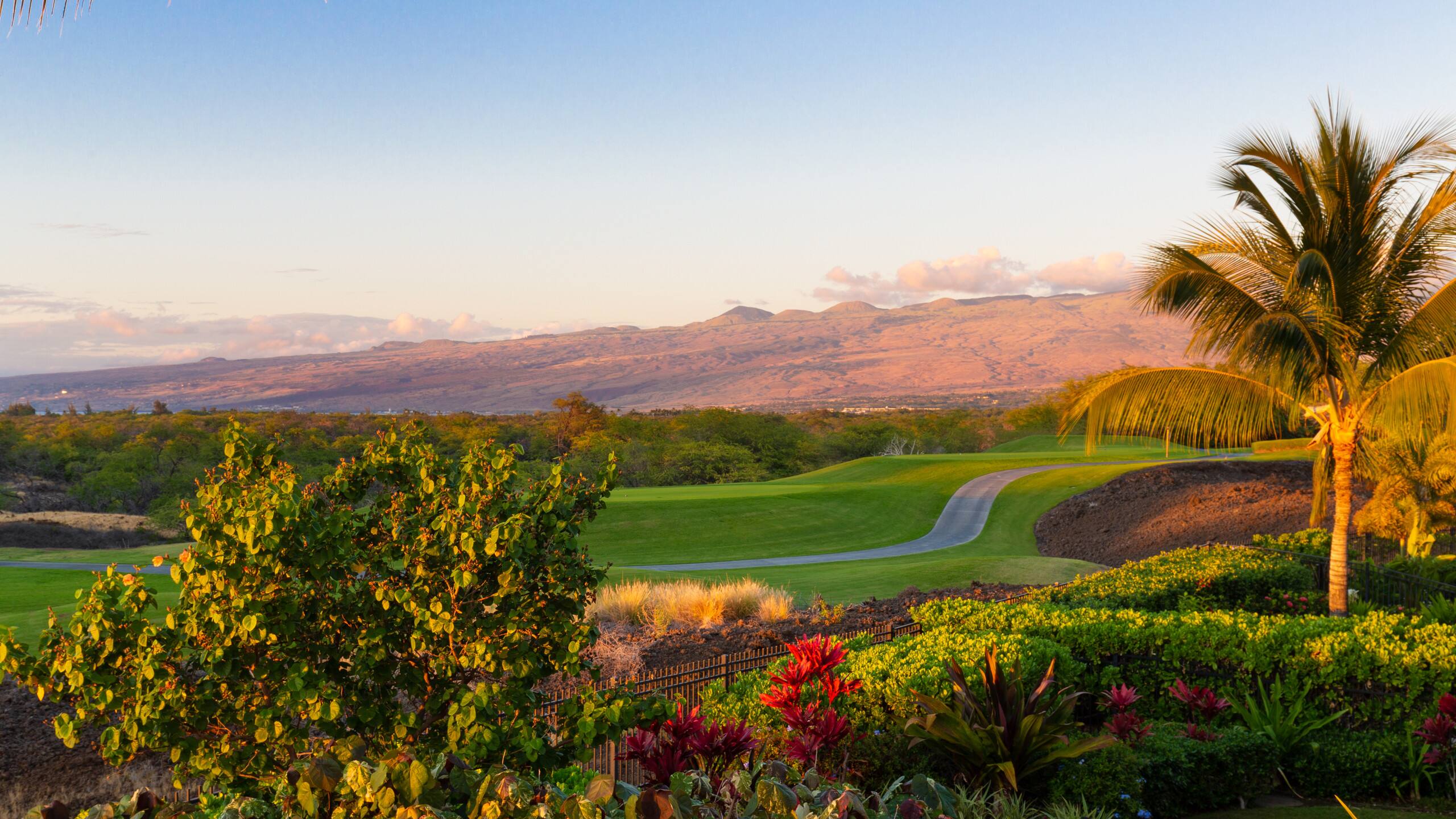 Home in Waimea · ★5.0 · 3 bedrooms · 5 beds · 3 baths - Image 60